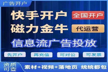 百度竞价推广运营实战技巧与经典案例剖析